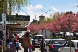 Leura village