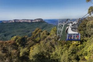 Scenic World Cableway over forest