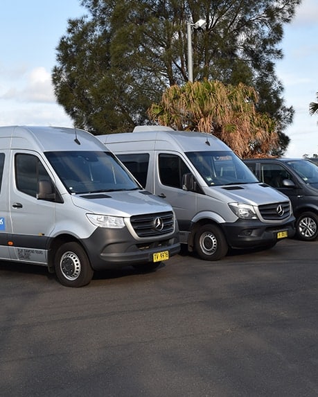 sydney small group tour minivans